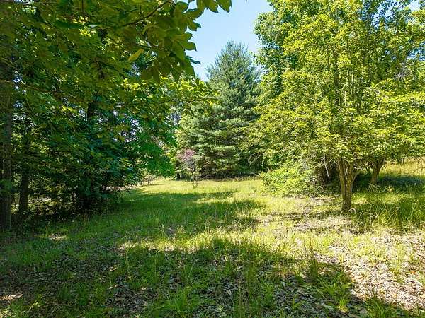 38.4 Acres of Recreational Land for Sale in Blue Ridge, Georgia
