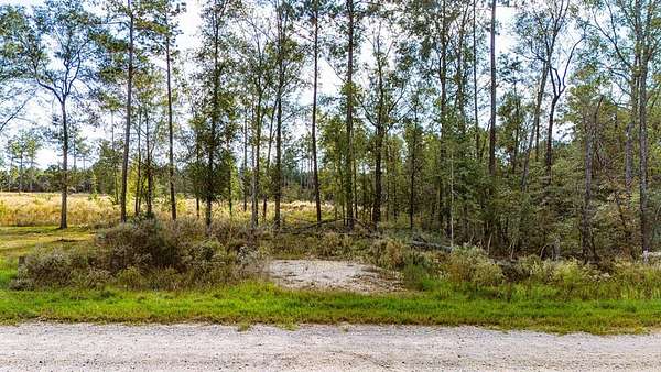 3 Acres of Residential Land for Sale in Livingston, Texas