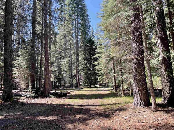 2.6 Acres of Land for Sale in McCloud, California