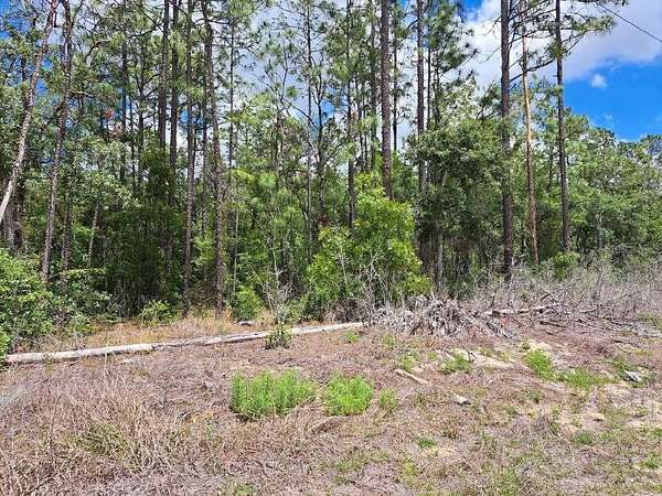 1.14 Acres of Residential Land for Sale in Ocala, Florida