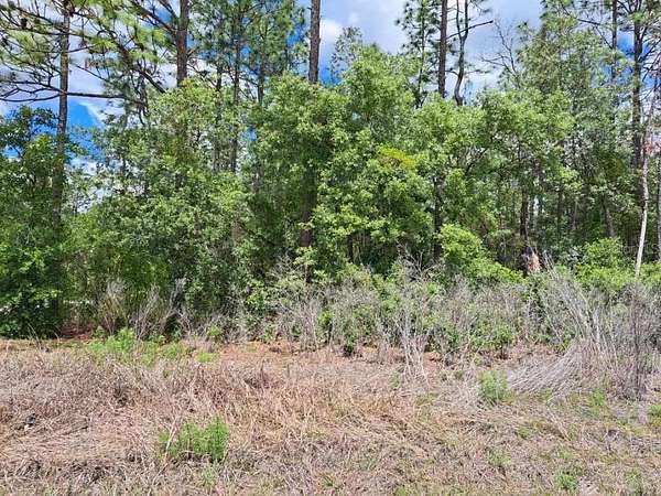 1 Acre of Residential Land for Sale in Dunnellon, Florida