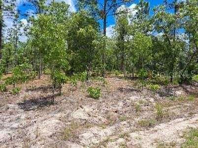 1.12 Acres of Residential Land for Sale in Dunnellon, Florida