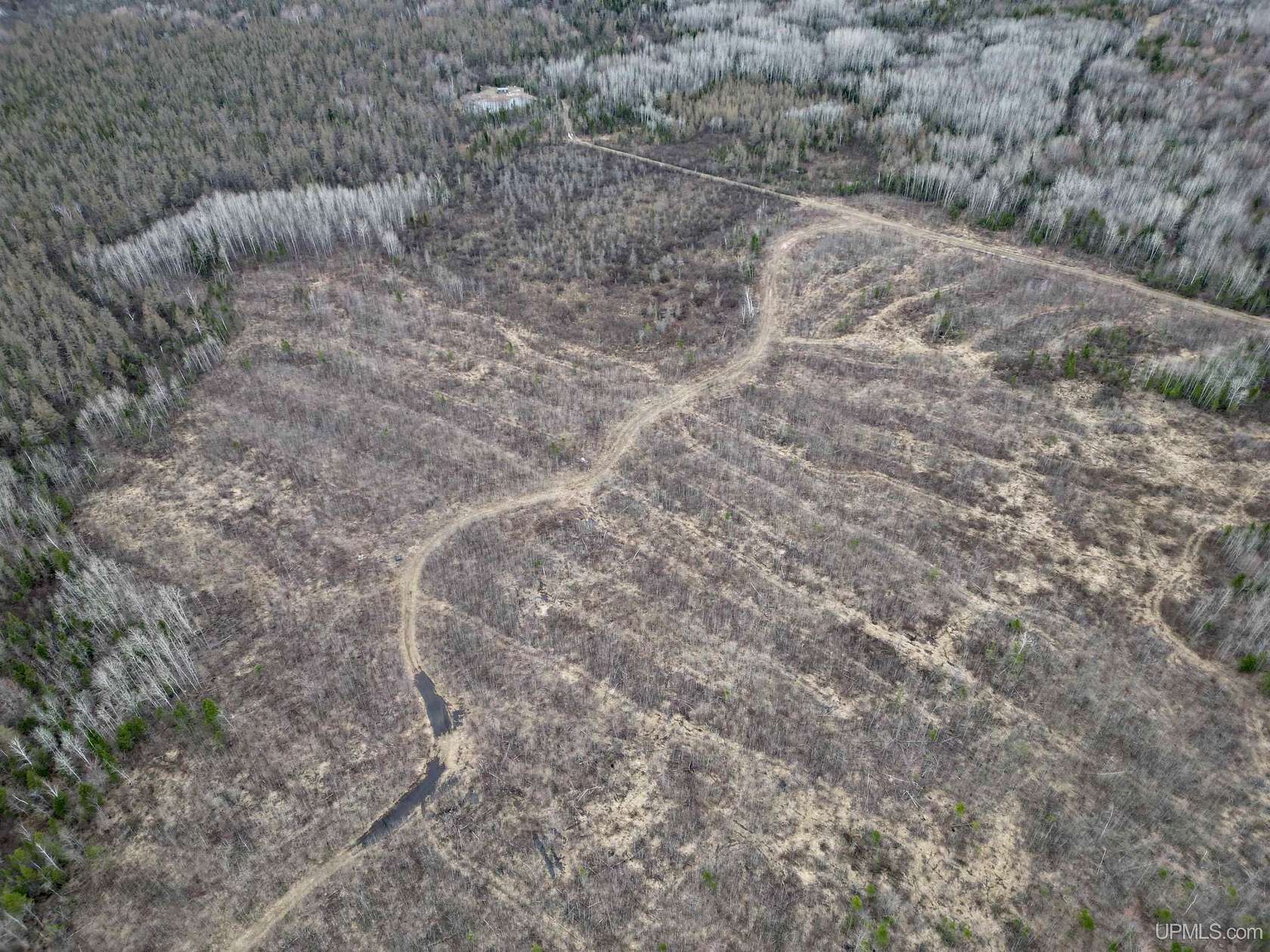 80 Acres of Recreational Land for Sale in Rock, Michigan