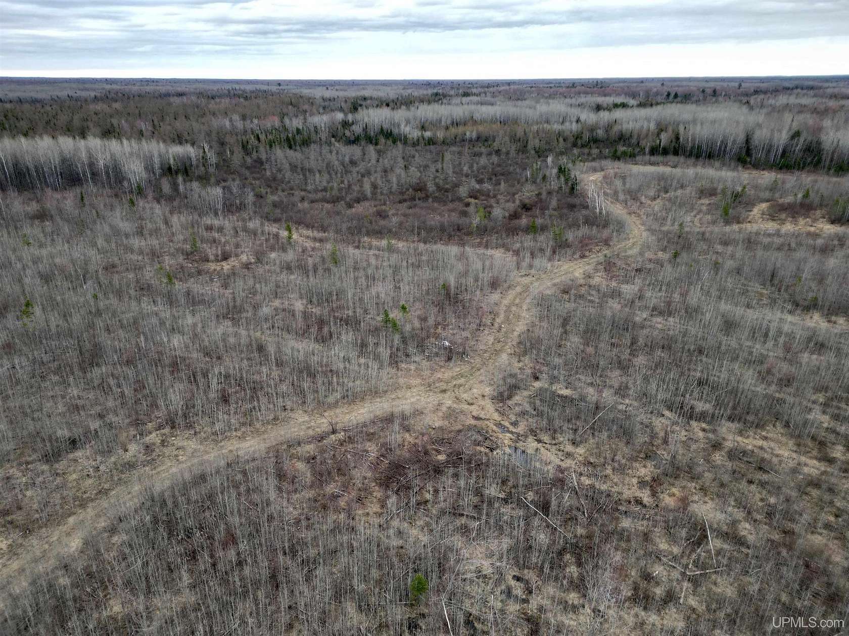 80 Acres of Recreational Land for Sale in Rock, Michigan