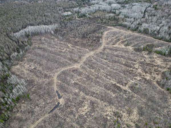80 Acres of Recreational Land for Sale in Rock, Michigan