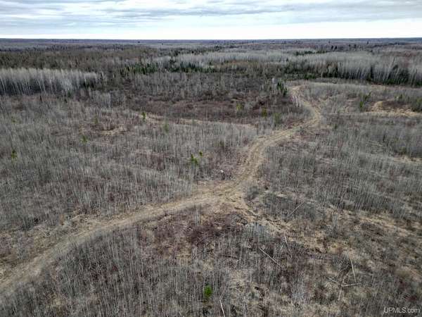 80 Acres of Recreational Land for Sale in Rock, Michigan