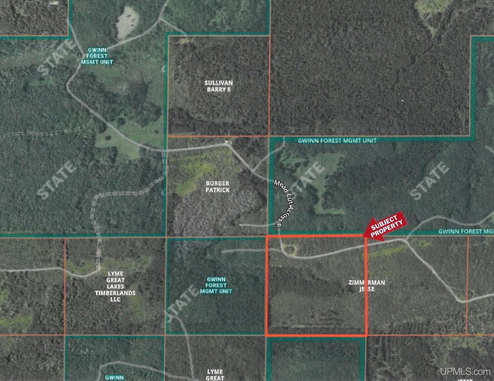 40 Acres of Recreational Land for Sale in Arnold, Michigan
