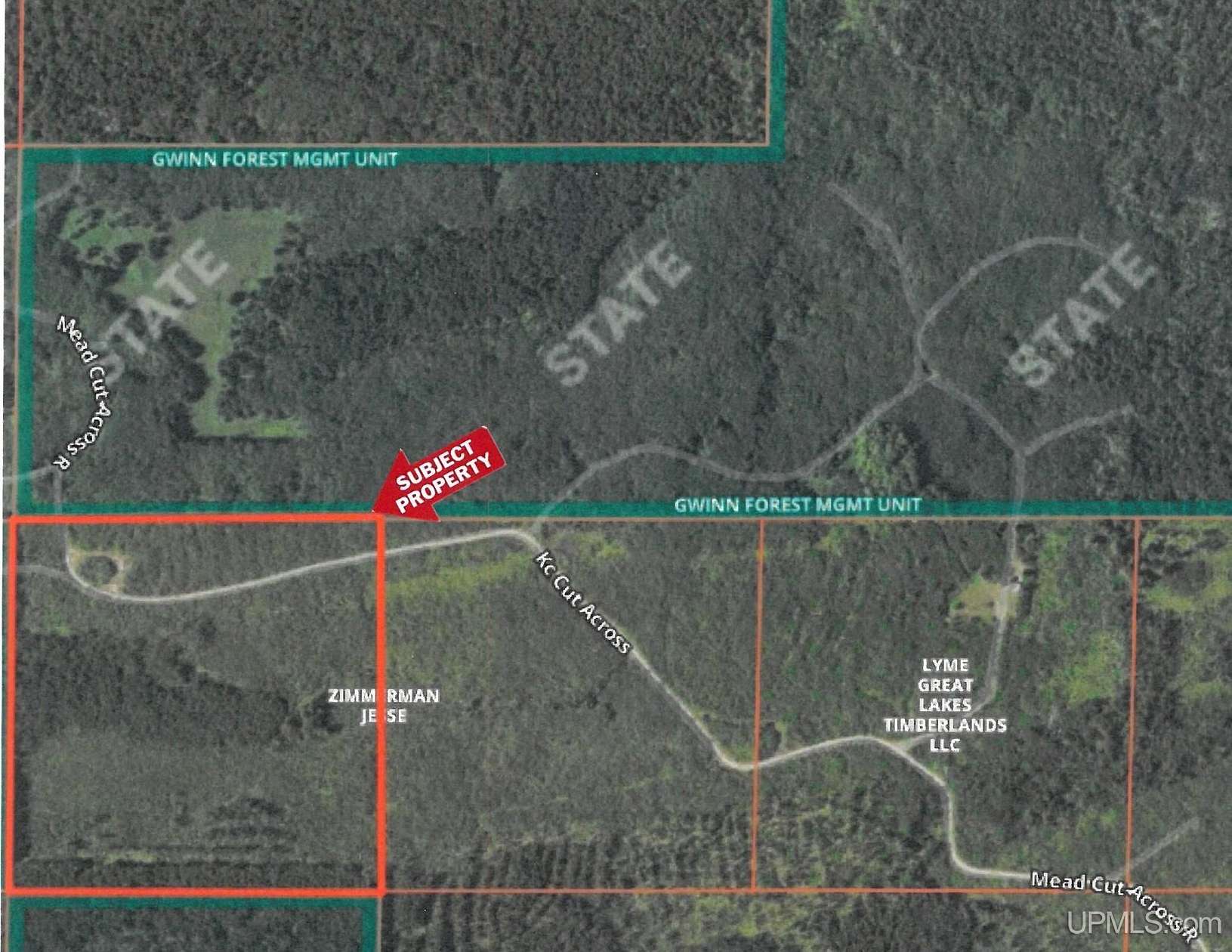 40 Acres of Recreational Land for Sale in Arnold, Michigan