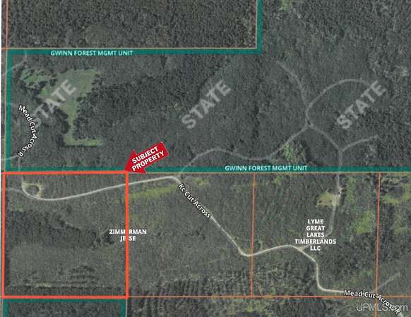 40 Acres of Recreational Land for Sale in Arnold, Michigan