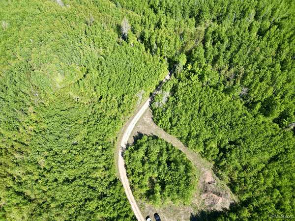 40 Acres of Recreational Land for Sale in Arnold, Michigan