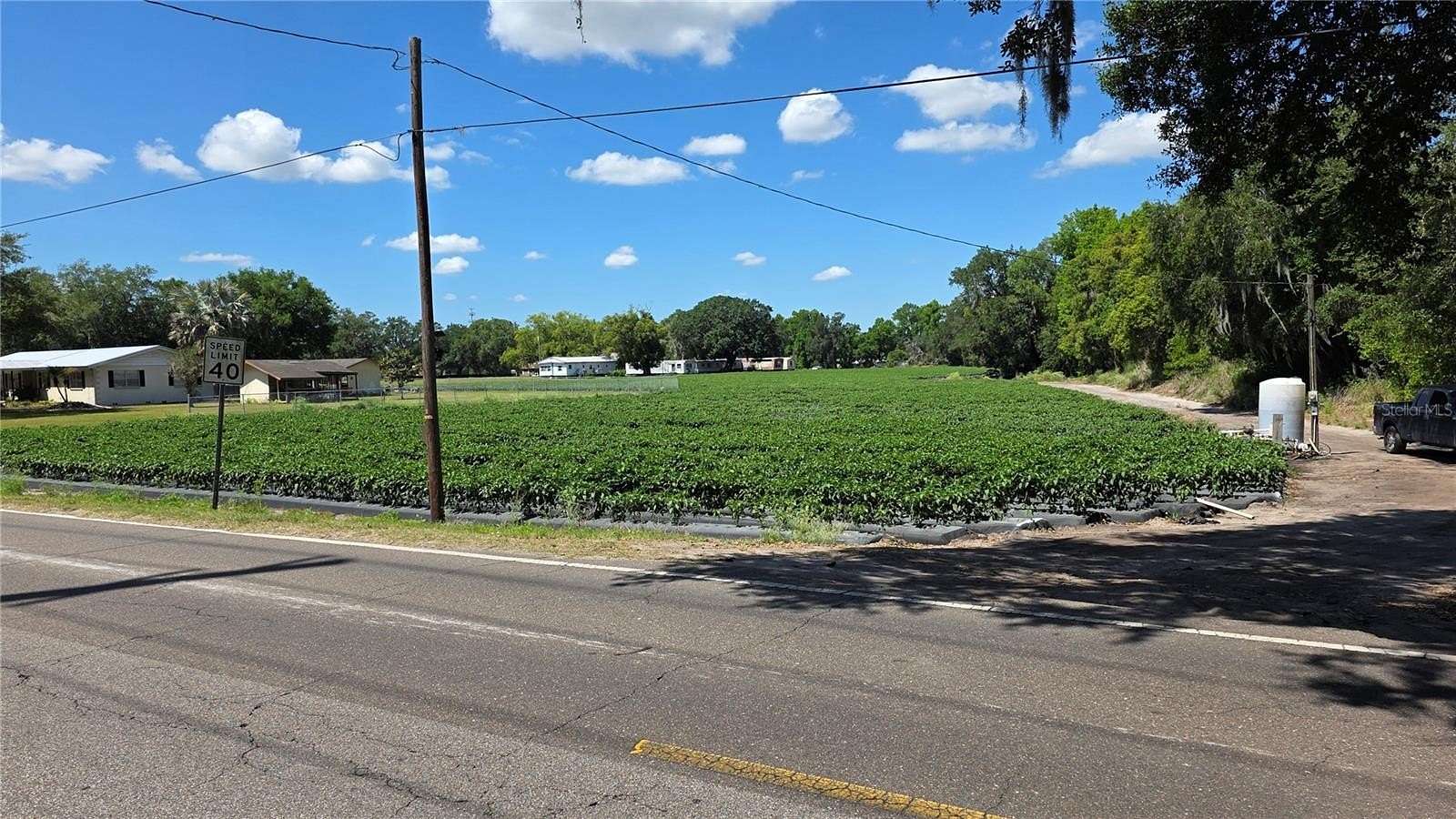 5.5 Acres of Residential Land for Sale in Dover, Florida