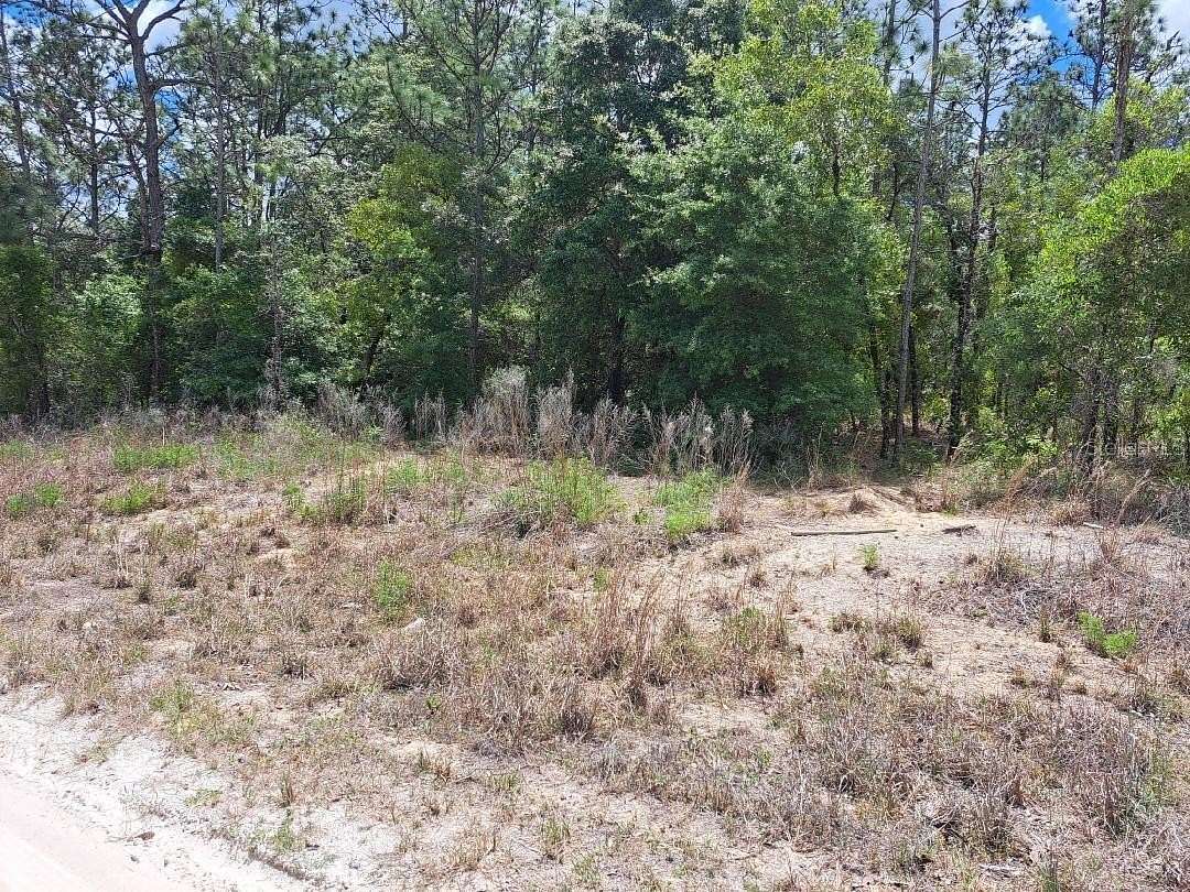 1 Acre of Residential Land for Sale in Dunnellon, Florida