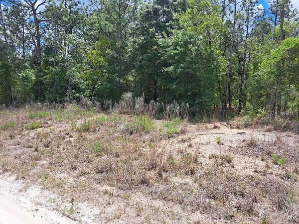 1 Acre of Residential Land for Sale in Dunnellon, Florida