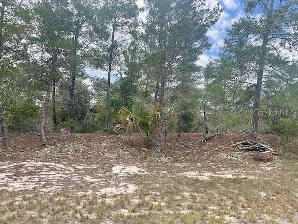 0.19 Acres of Residential Land for Sale in Poinciana, Florida