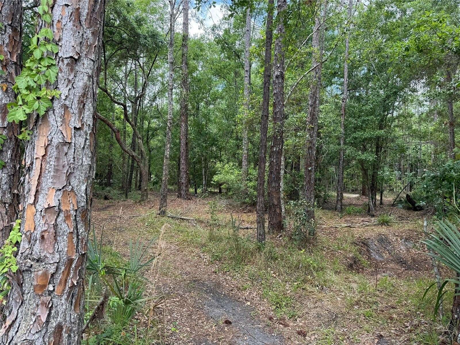 0.26 Acres of Land for Sale in Osteen, Florida