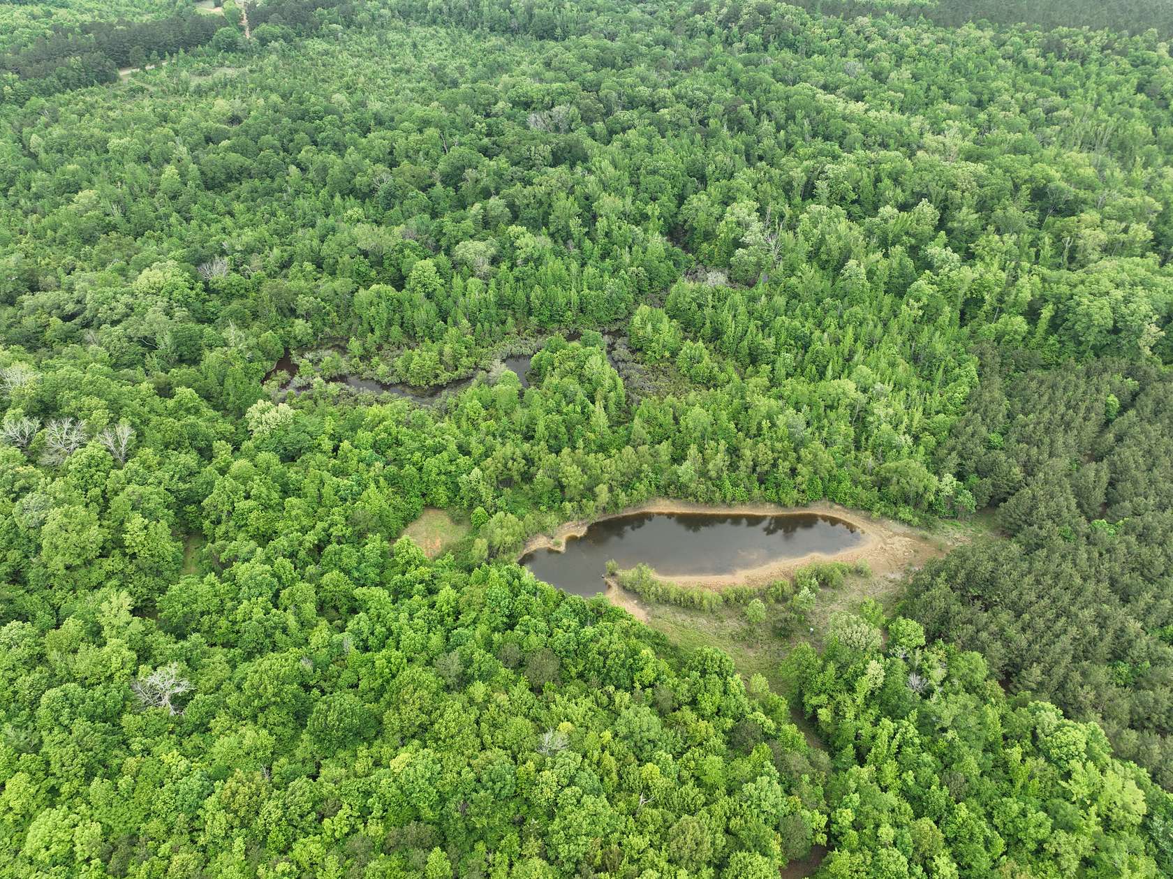 250 Acres of Land with Home for Sale in Douglassville, Texas