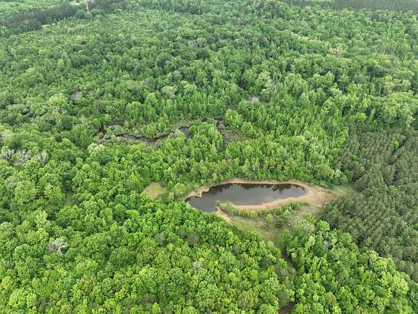 250 Acres of Land with Home for Sale in Douglassville, Texas