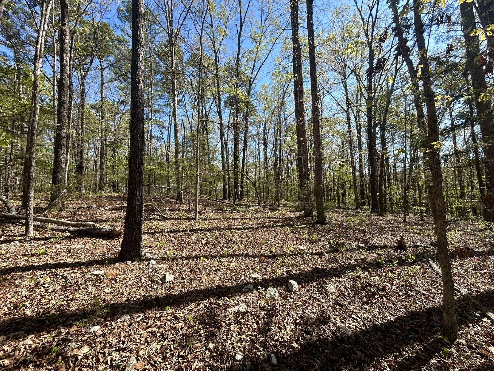 3.66 Acres of Land for Sale in Mountain View, Arkansas