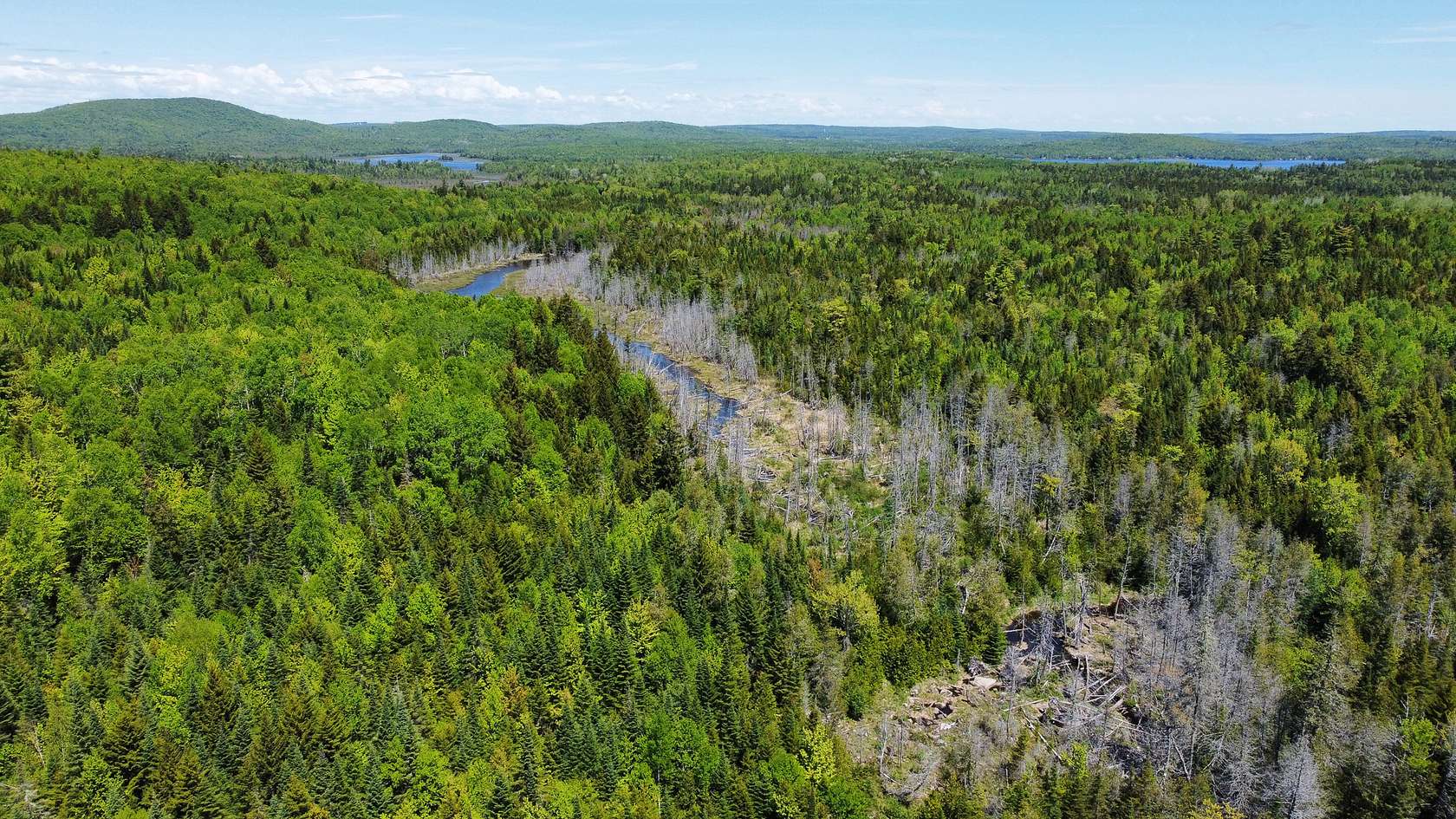 20.3 Acres of Land for Sale in Oakfield, Maine