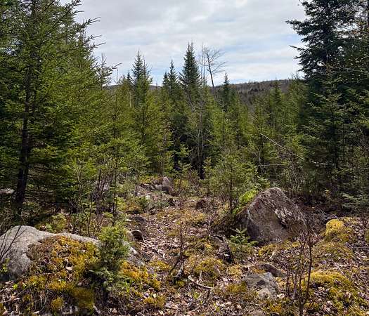 20.3 Acres of Land for Sale in Oakfield, Maine