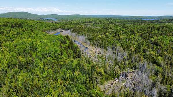 20.3 Acres of Land for Sale in Oakfield, Maine