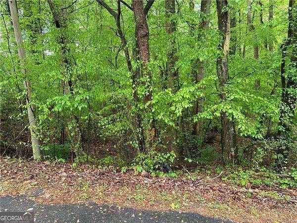0.26 Acres of Land for Sale in Cumming, Georgia
