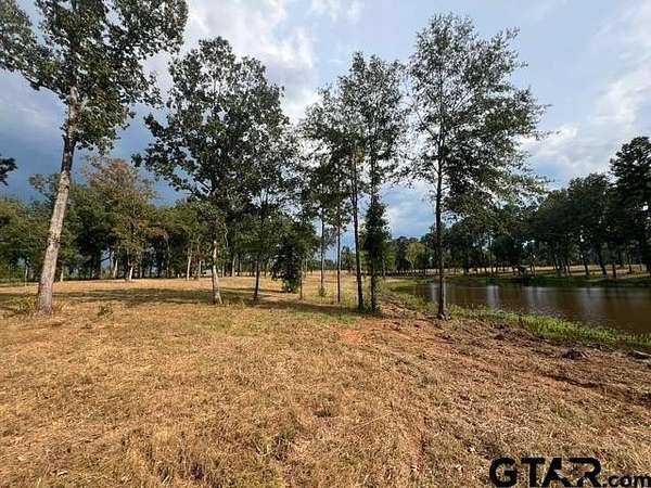 101 Acres of Land for Sale in Kilgore, Texas