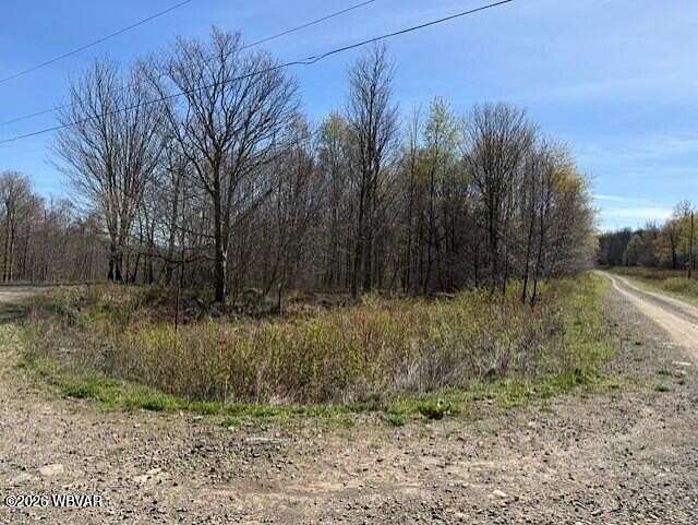 3.16 Acres of Residential Land for Sale in Shunk, Pennsylvania