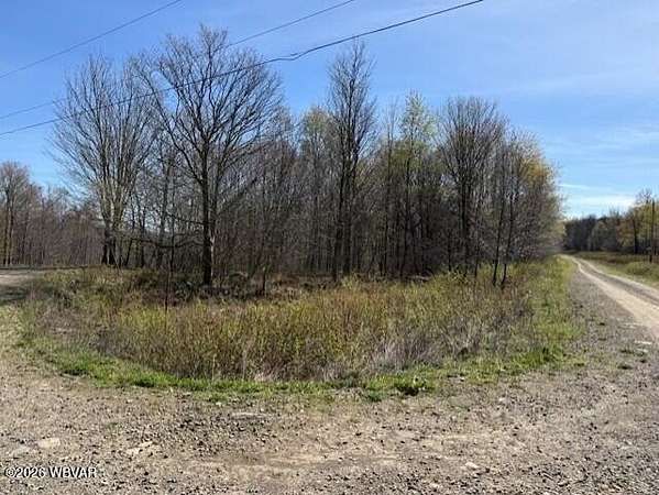 3.16 Acres of Residential Land for Sale in Shunk, Pennsylvania