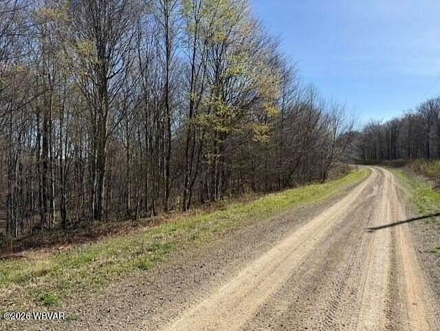 3.38 Acres of Residential Land for Sale in Shunk, Pennsylvania