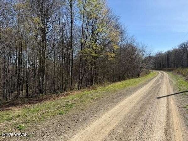 3.38 Acres of Residential Land for Sale in Shunk, Pennsylvania