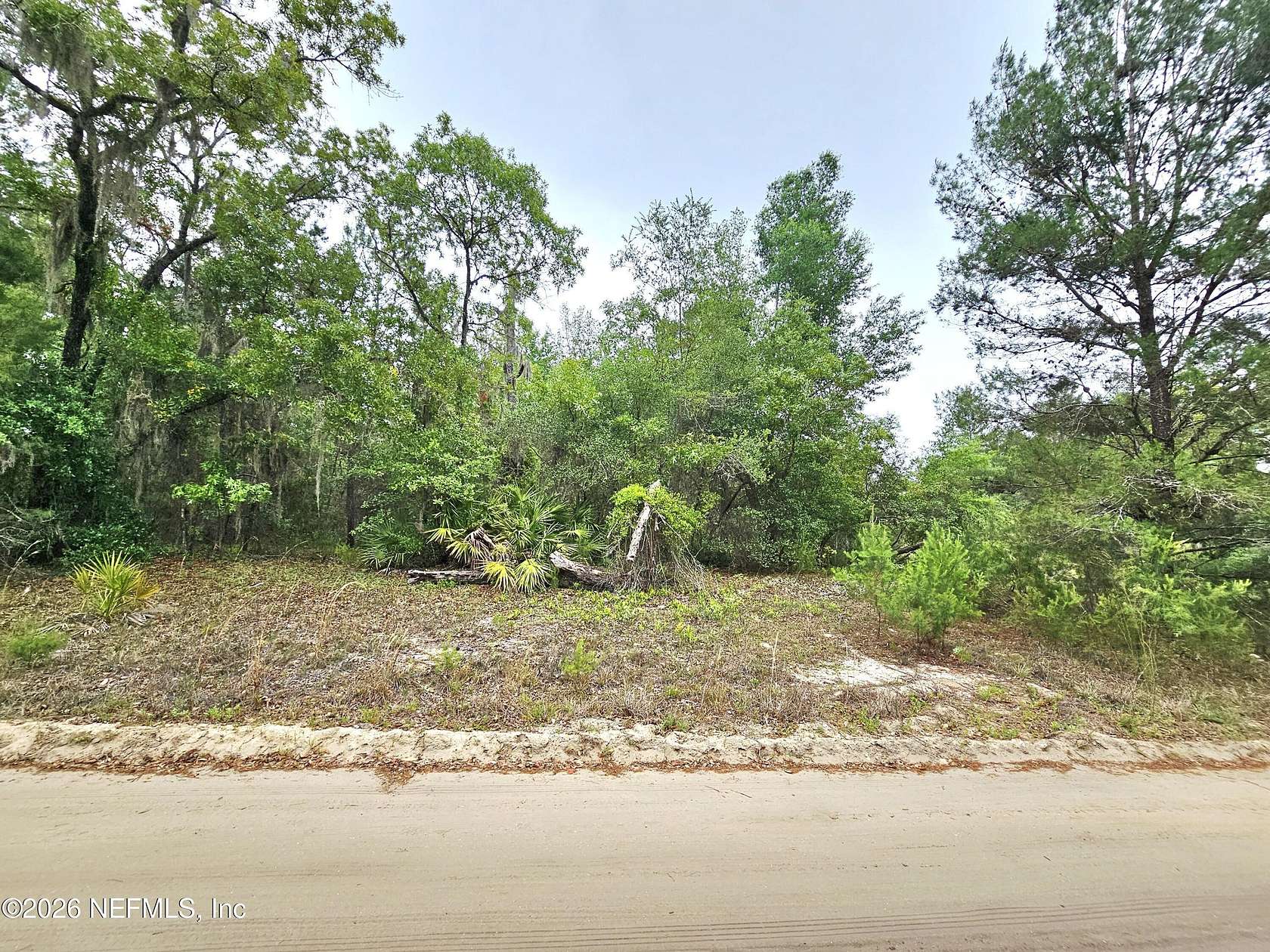 0.23 Acres of Land for Sale in Florahome, Florida
