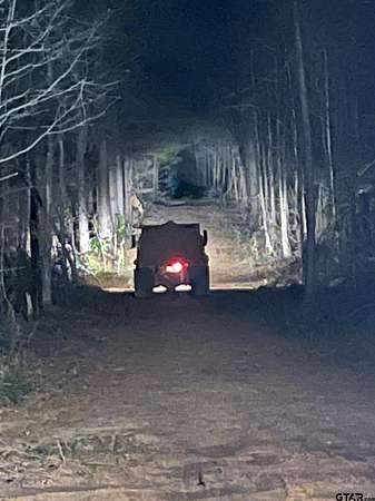 38 Acres of Land for Sale in Kilgore, Texas