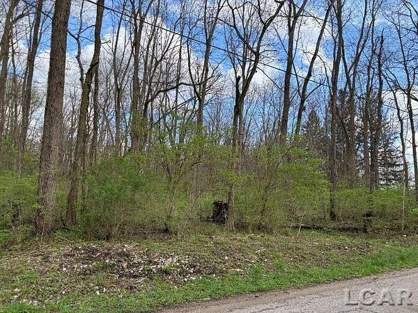 2.28 Acres of Residential Land for Sale in Adrian, Michigan