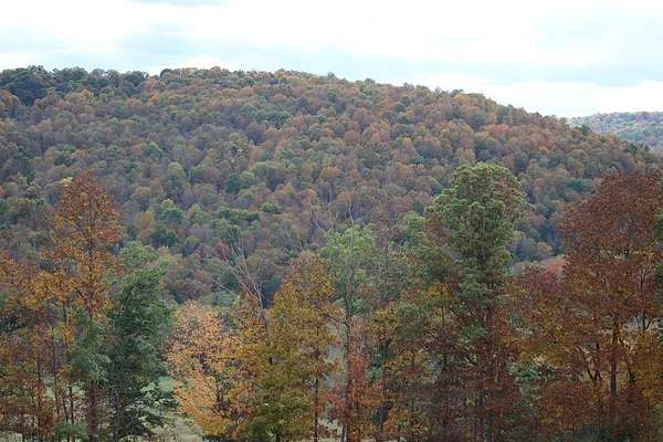 44.7 Acres of Recreational Land for Sale in Columbia Cross Roads, Pennsylvania