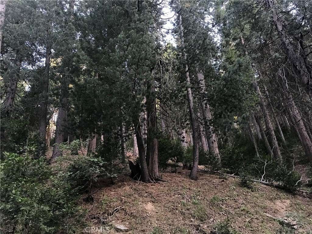 0.05 Acres of Land for Sale in Cedarpines Park, California