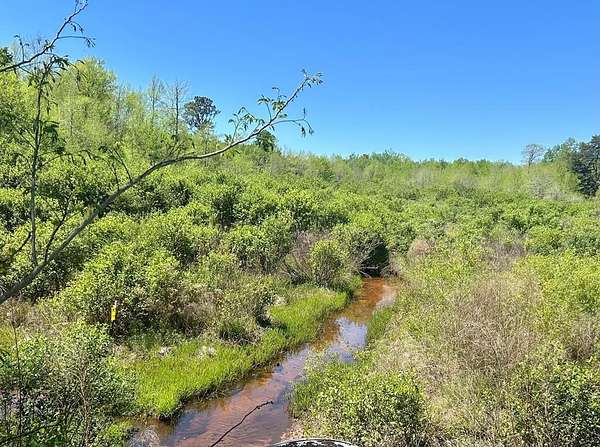 47.9 Acres of Recreational & Residential Land for Sale in Ozark, Alabama