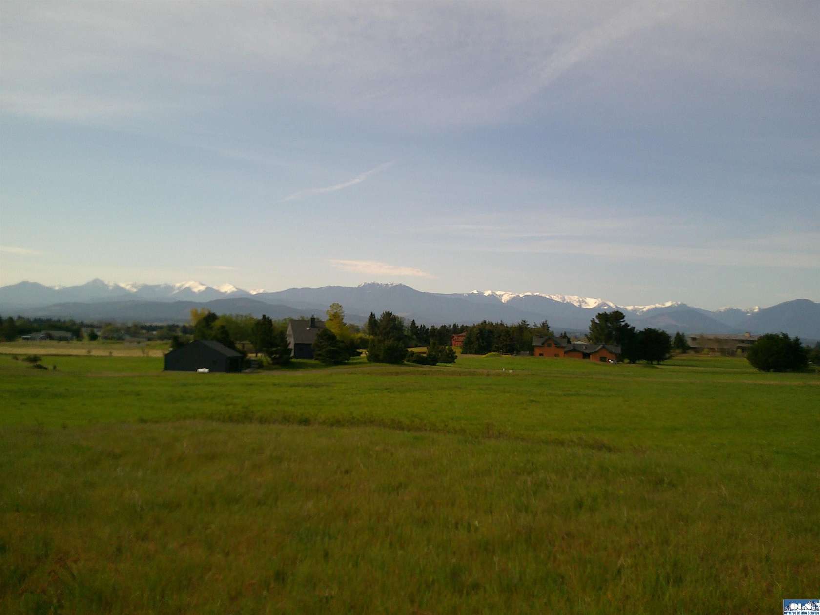 1 Acre of Residential Land for Sale in Sequim, Washington