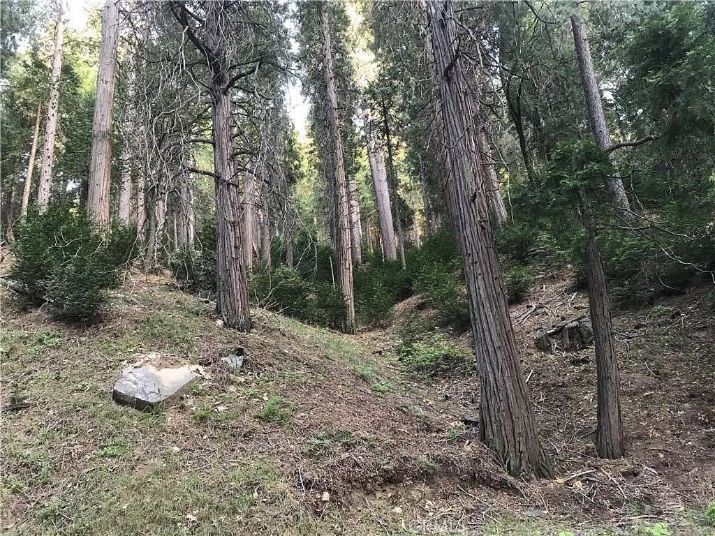 0.05 Acres of Land for Sale in Cedarpines Park, California