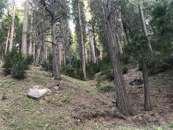 0.05 Acres of Land for Sale in Cedarpines Park, California
