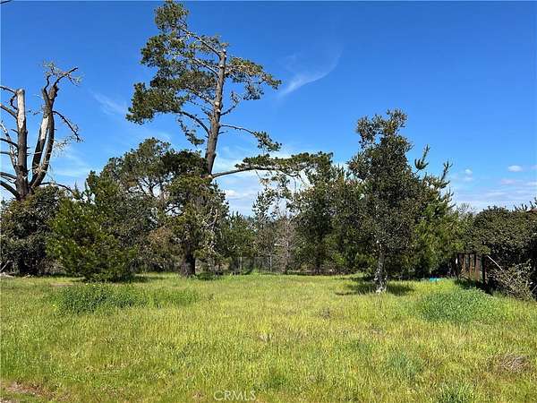0.16 Acres of Land for Sale in Cambria, California