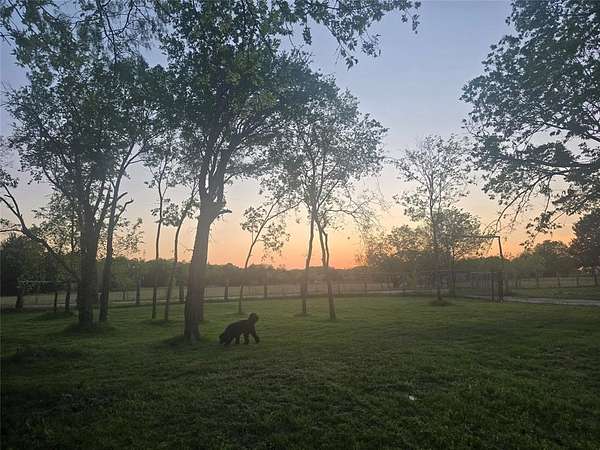 9.35 Acres of Land with Home for Sale in Powell, Texas