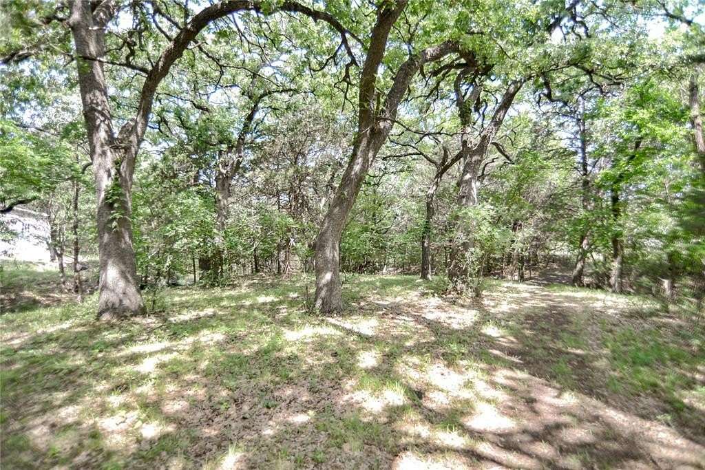 20.6 Acres of Recreational Land for Sale in Sadler, Texas