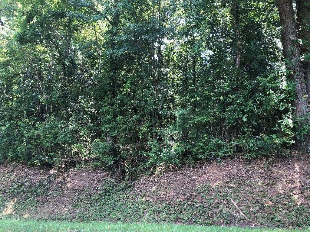 1 Acre of Land for Sale in Laurel, Mississippi