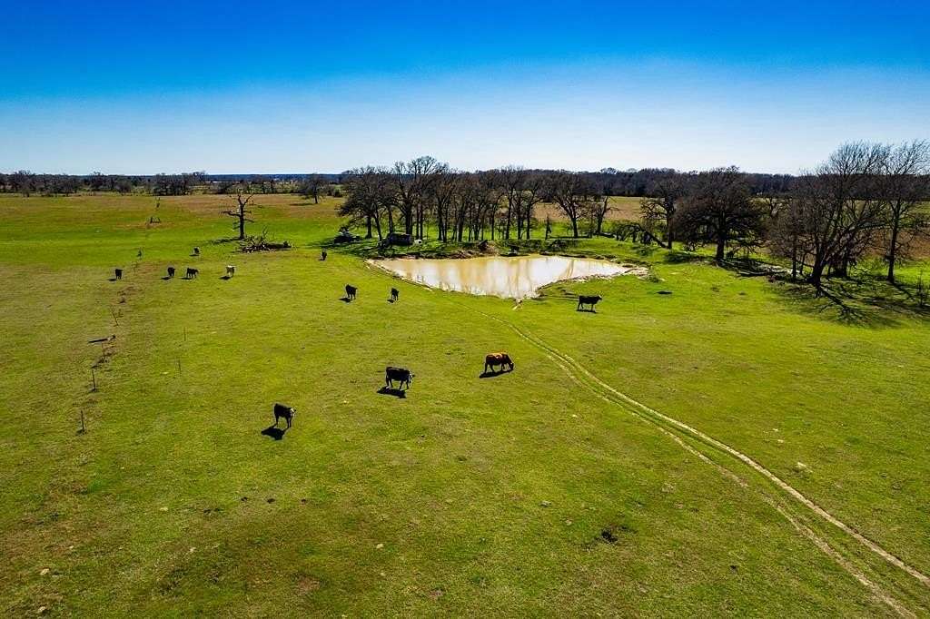 10 Acres of Land for Sale in Kemp, Texas