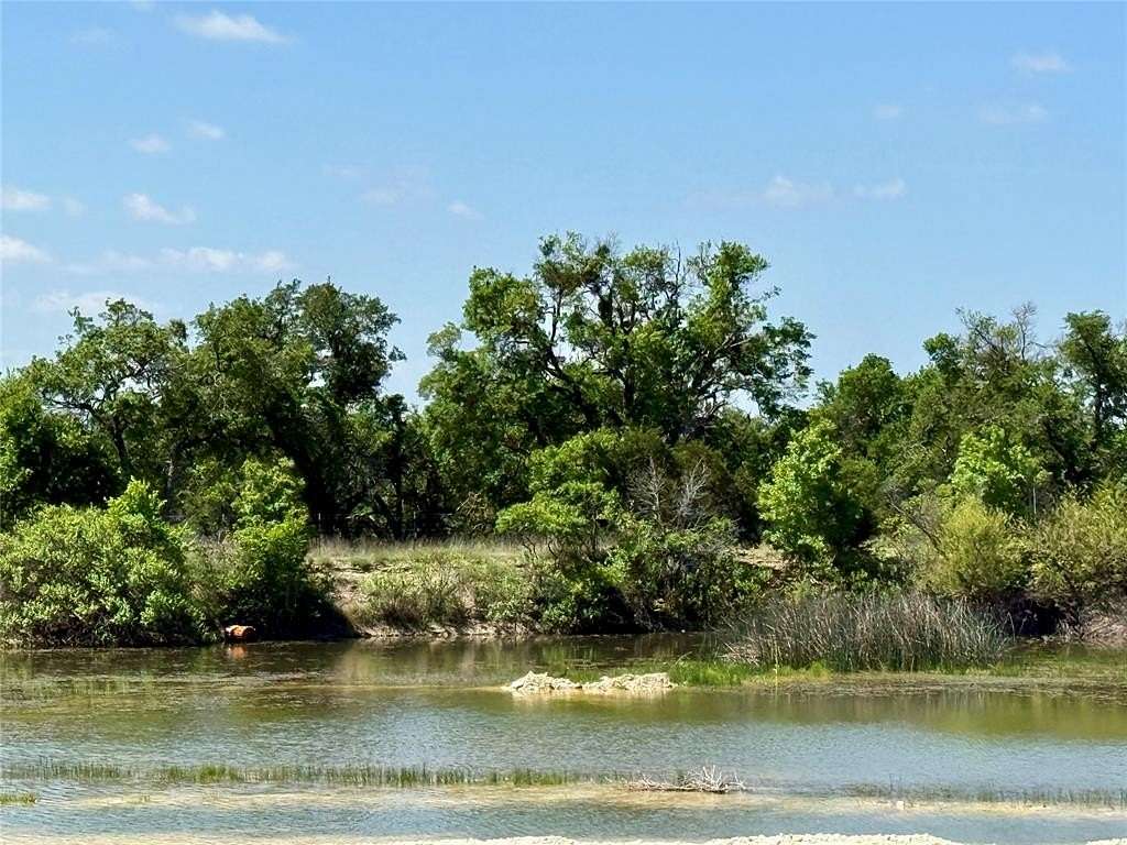 80.2 Acres of Land for Sale in Blanket, Texas