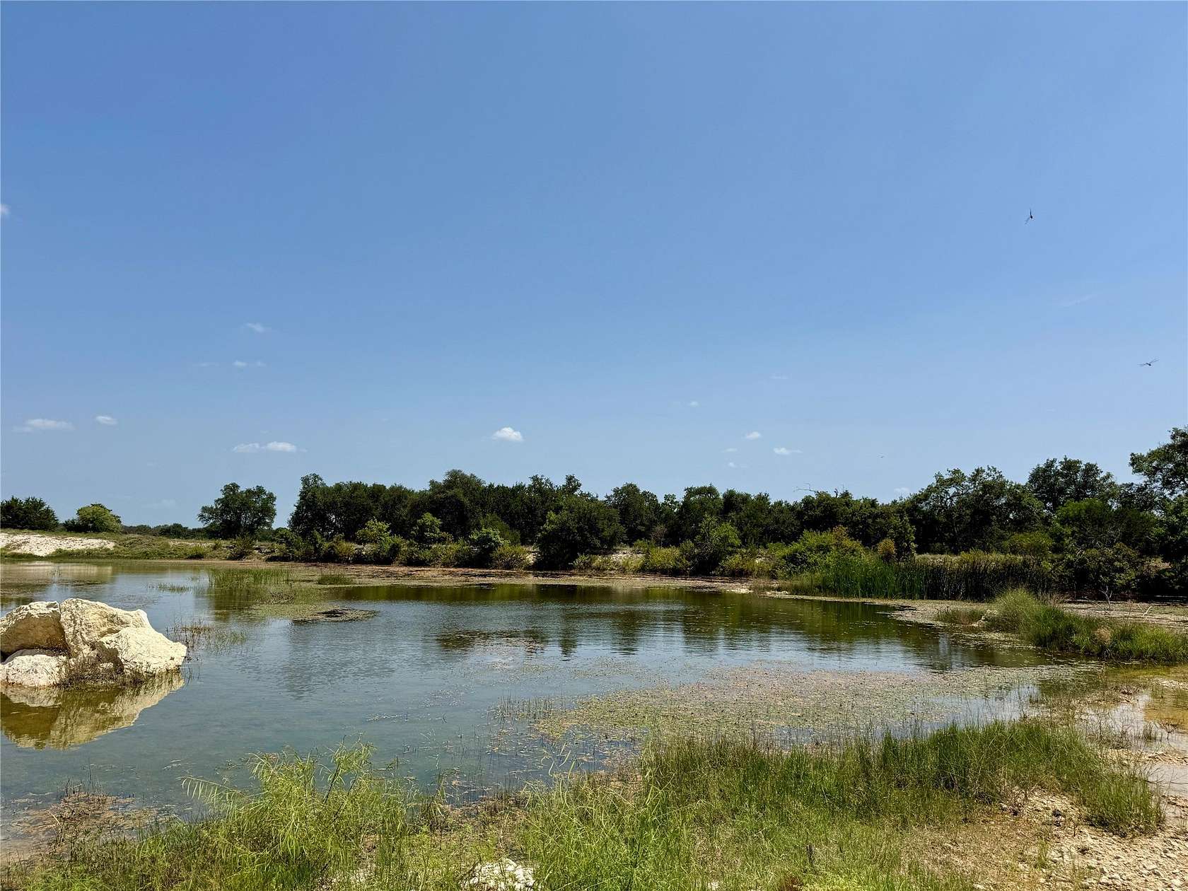 80.2 Acres of Land for Sale in Blanket, Texas