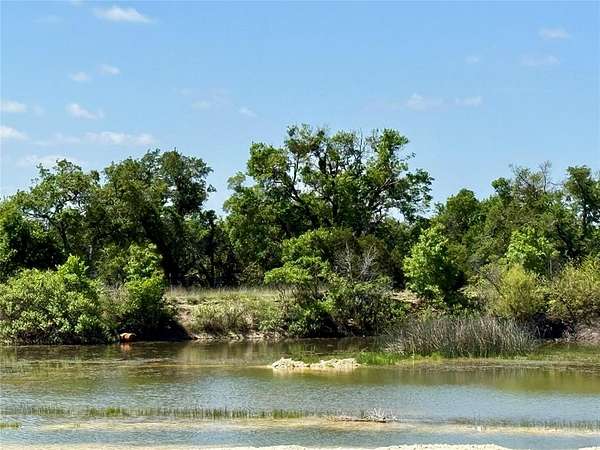80.2 Acres of Land for Sale in Blanket, Texas