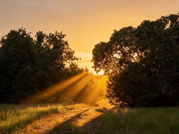 80.2 Acres of Land for Sale in Blanket, Texas