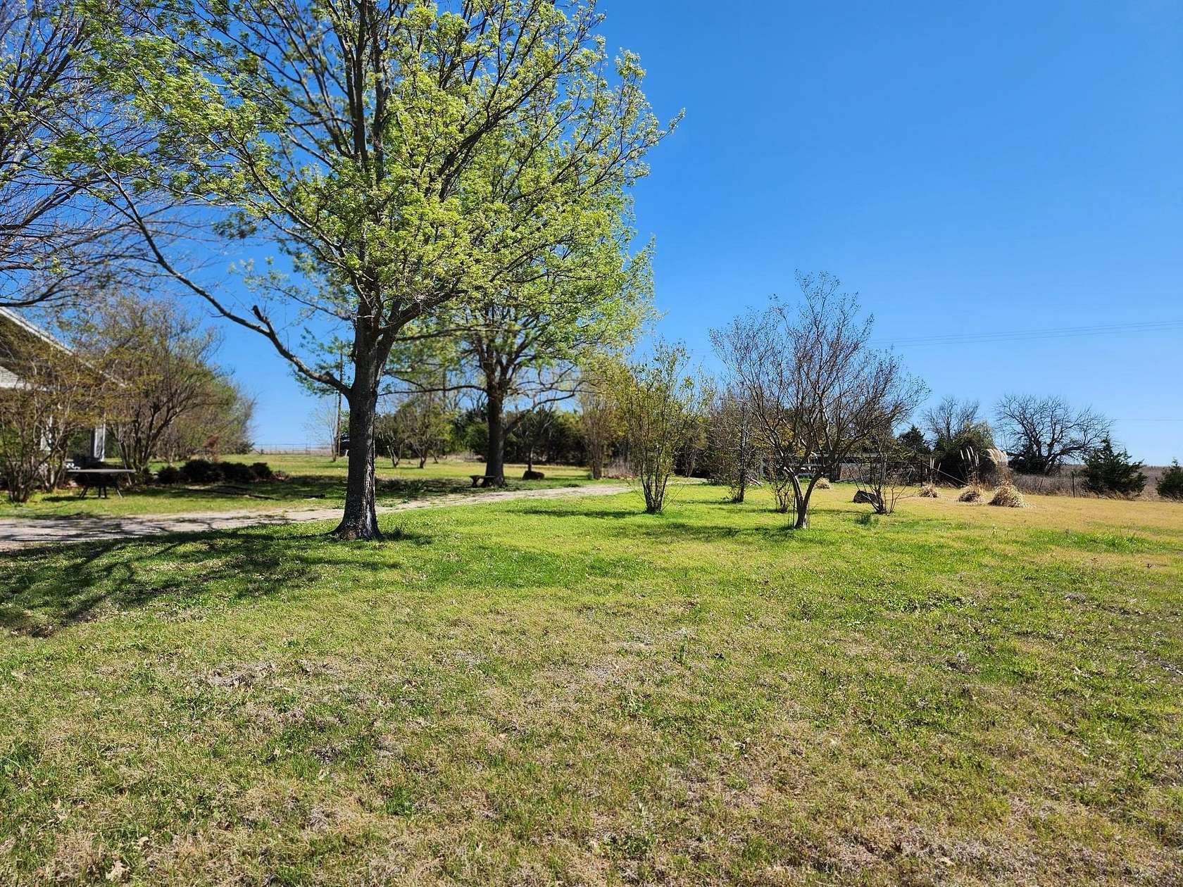 15 Acres of Land for Sale in Farmersville, Texas